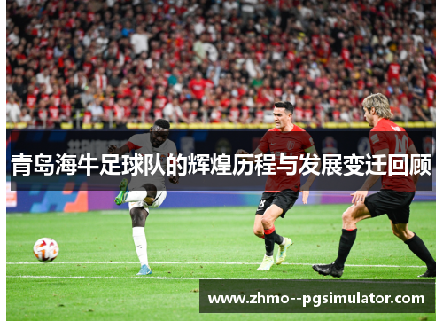 青岛海牛足球队的辉煌历程与发展变迁回顾